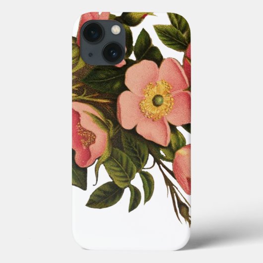 Vintage Rose Schöne rosa botanische Case-Mate iPhone Hülle (Rückseite)