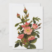 Vintage Rose Schöne rosa botanische Einladung (Rückseite)