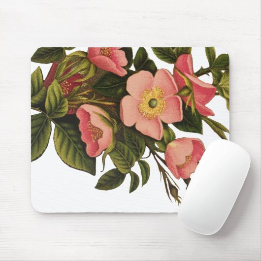 Vintage Rose Schöne rosa botanische Mousepad (Mit Mouse)