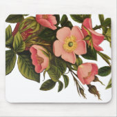Vintage Rose Schöne rosa botanische Mousepad (Vorne)