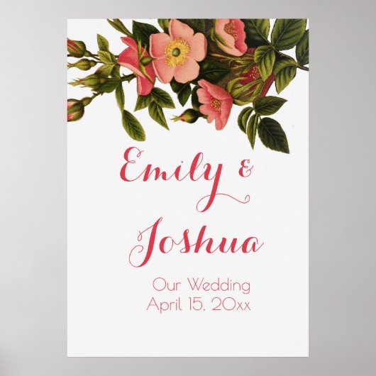 Vintage Rose Schöne rosa botanische Poster (Vorne)