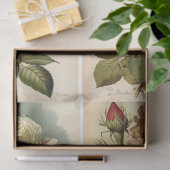 Vintage Rose Seidenpapier (Geschenk)