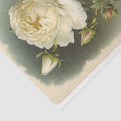 Vintage Rose Seidenpapier (Ausschnitt)