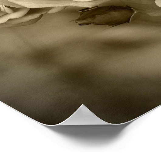 Vintage Rose Sepia Poster (Ecke)