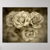 Vintage Rose Sepia Poster (Vorne)