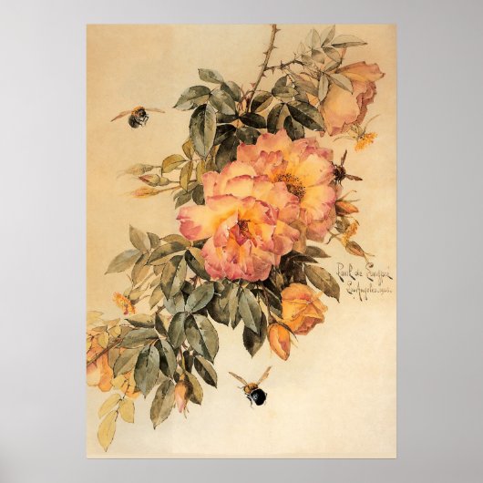 Vintage Rose und Hummeln Poster (Vorne)
