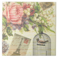 Vintage Rose und Käfigvögel