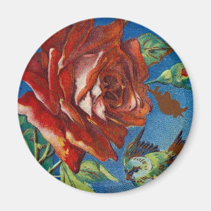 Vintage Rose und Vogel Magnet