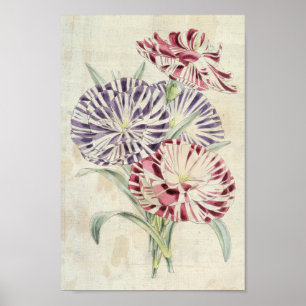 Vintage Rose von Kastilien und herausragenden Nelk Poster