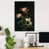 Vintage Rose vor schwarzem Hintergrund Poster (Heimbüro)