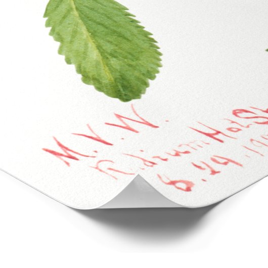 Vintage Rosehip-Illustration Poster (Ecke)