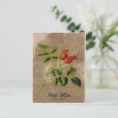 Vintage Rosehips Postkarte (Stehend Vorderseite)