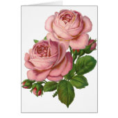 Vintage Rosen (Vorne)