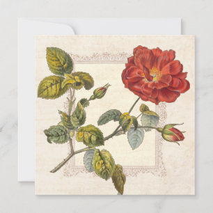 Vintage-Rosen-Botanischer-Geburtstags-Gartenparty Einladung