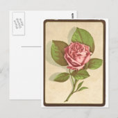 Vintage-Rosen-Druck Postkarte (Vorne/Hinten)