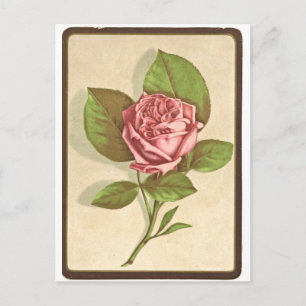 Vintage-Rosen-Druck Postkarte
