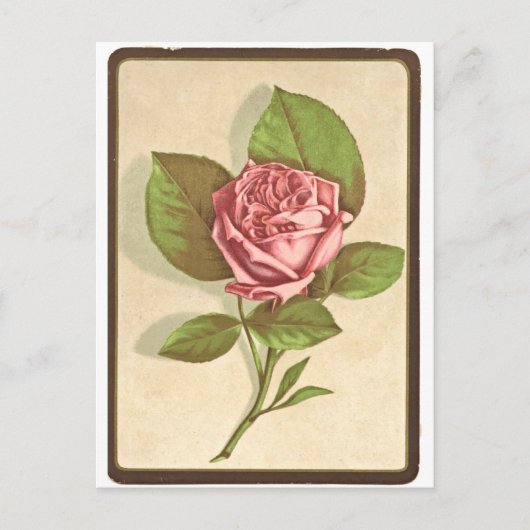Vintage-Rosen-Druck Postkarte (Vorderseite)
