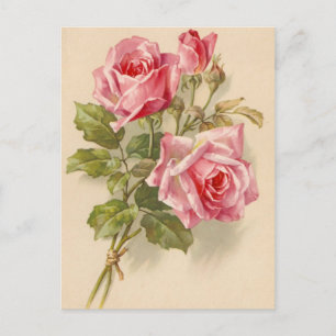 Vintage Rosen Postkarte