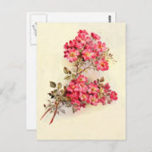 Vintage Rosen Postkarte (Vorne/Hinten)