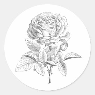 Vintage-Rosen-Schwarz-Weiß-Blumenaufkleber Runder Aufkleber