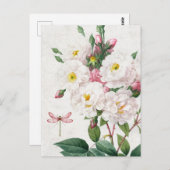 Vintage Rosen und Weiße Rosen und Libellen Postkarte (Vorne/Hinten)