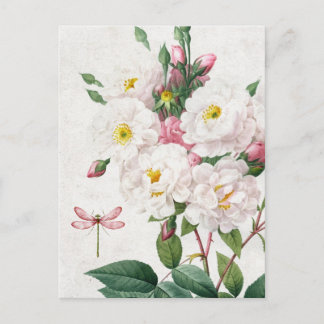 Vintage Rosen und Weiße Rosen und Libellen Postkarte