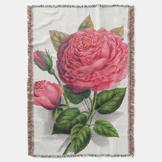 Vintage Rosendarstellung Decke (Vorderseite Vertikal)
