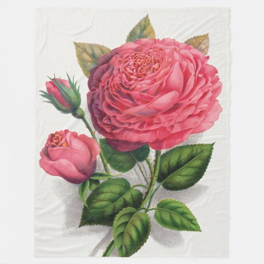 Vintage Rosendarstellung Fleecedecke (Vorderseite)