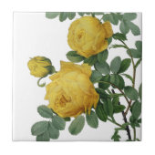 Vintage Rosenmalerei Fliese (Vorderseite)