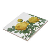 Vintage Rosenmalerei Fliese (Seite)