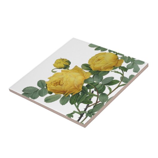 Vintage Rosenmalerei Fliese (Seite)