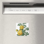 Vintage Rosenmalerei Magnet (In Situ (Geschirrspüler))