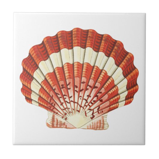 Vintage Rot- und Blassgelbe Muschel Acryl Fliese (Vorderseite)