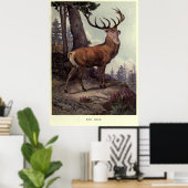 Vintage Rote Hirsche (1909) Poster (Heimbüro)