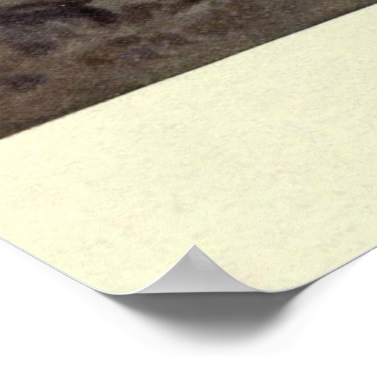 Vintage Rote Hirsche (1909) Poster (Ecke)