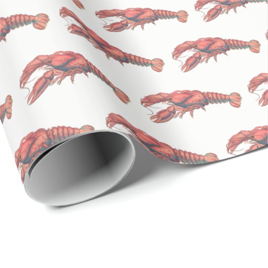 Vintage Rote Hummer #2 Zeichnend Geschenkpapier (Rolleneckpunkt)