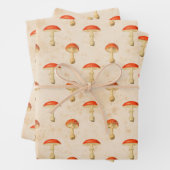 Vintage Rote Pilze Geschenkpapier Set (Beispiel)