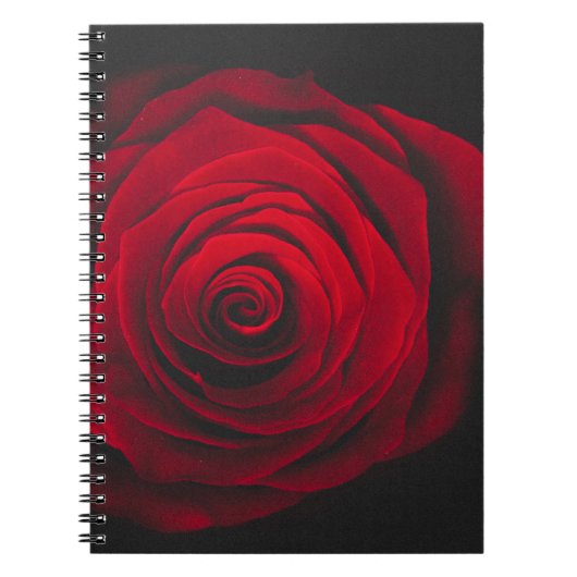 Vintage rote Rose auf schwarzem Hintergrund Notizblock (Vorderseite)