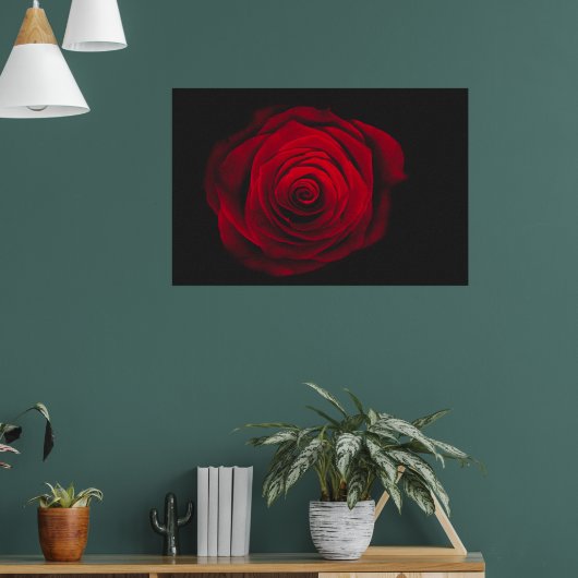Vintage rote Rose auf schwarzem Hintergrund Poster (Wohnzimmer 1)