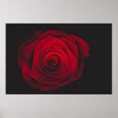 Vintage rote Rose auf schwarzem Hintergrund Poster (Vorne)