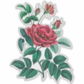 Vintage Rote Rose Aufkleber (Vorderseite)