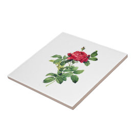 Vintage Rote Rose Fliese