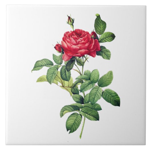 Vintage Rote Rose Fliese (Vorderseite)