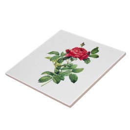 Vintage Rote Rose Fliese