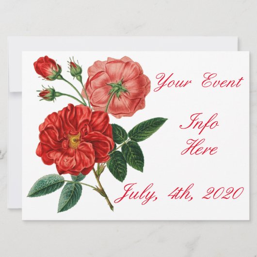 Vintage Rote Rose Illustration Thunder_Cove (Vorderseite)