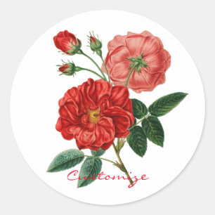 Vintage Rote Rose Illustration Thunder_Cove Runder Aufkleber