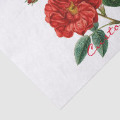 Vintage Rote Rose Illustration Thunder_Cove Seidenpapier (Ausschnitt)