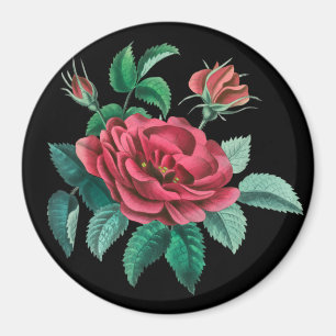 Vintage Rote Rose Magnet