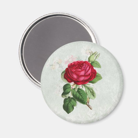 Vintage Rote Rose mit Foliage Magnet (Vorderseite/Rückseite)