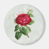 Vintage Rote Rose mit Foliage Magnet (Vorne)